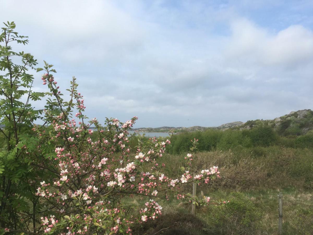 Stuga I Naturskoent Omrade Pa Vaestra Tjoern Saby Kültér fotó