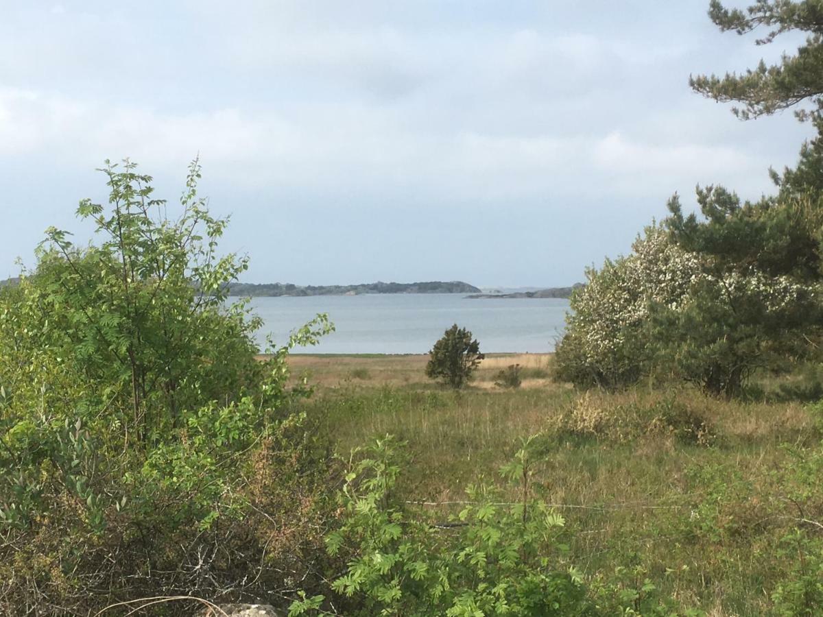 Stuga I Naturskoent Omrade Pa Vaestra Tjoern Saby Kültér fotó